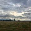 mccall84